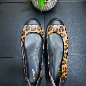 Coach womens Chelsea Flat 8 Leopard